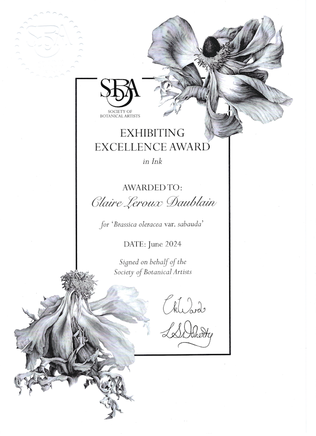 SBA Award